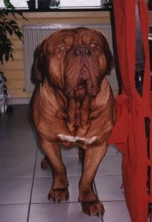 mulk3.JPG (11727 bytes)