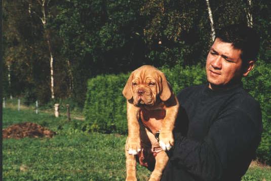 puppieswk8.4.JPG (32707 bytes)